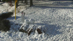 Běžecký lyžařský areál Nová Ves - horní část
