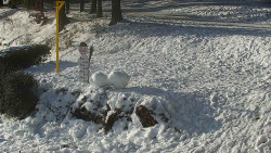 Běžecký lyžařský areál Nová Ves - horní část