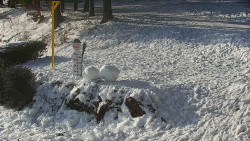 Běžecký lyžařský areál Nová Ves - horní část
