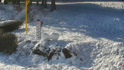 Běžecký lyžařský areál Nová Ves - horní část