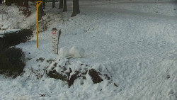 Běžecký lyžařský areál Nová Ves - horní část