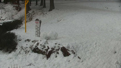 Běžecký lyžařský areál Nová Ves - horní část