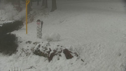 Běžecký lyžařský areál Nová Ves - horní část