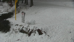 Běžecký lyžařský areál Nová Ves - horní část