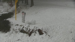 Běžecký lyžařský areál Nová Ves - horní část