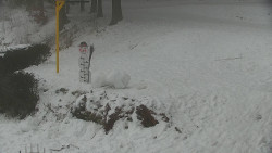 Běžecký lyžařský areál Nová Ves - horní část