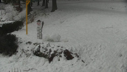 Běžecký lyžařský areál Nová Ves - horní část