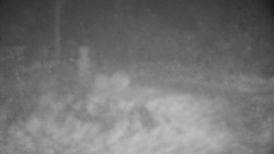 Běžecký lyžařský areál Nová Ves - horní část