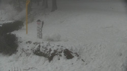 Běžecký lyžařský areál Nová Ves - horní část