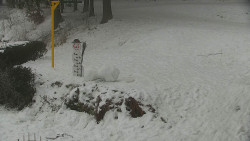 Běžecký lyžařský areál Nová Ves - horní část