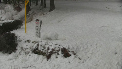 Běžecký lyžařský areál Nová Ves - horní část