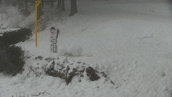 Běžecký lyžařský areál Nová Ves - horní část