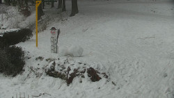 Běžecký lyžařský areál Nová Ves - horní část