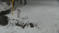 Běžecký lyžařský areál Nová Ves - horní část