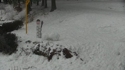 Běžecký lyžařský areál Nová Ves - horní část