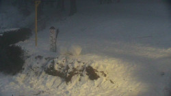 Běžecký lyžařský areál Nová Ves - horní část