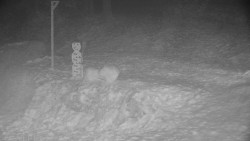 Běžecký lyžařský areál Nová Ves - horní část