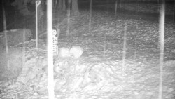 Běžecký lyžařský areál Nová Ves - horní část