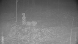 Běžecký lyžařský areál Nová Ves - horní část