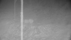 Běžecký lyžařský areál Nová Ves - horní část