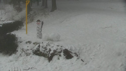 Běžecký lyžařský areál Nová Ves - horní část