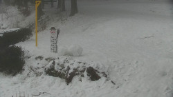 Běžecký lyžařský areál Nová Ves - horní část