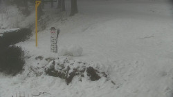 Běžecký lyžařský areál Nová Ves - horní část