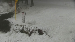 Běžecký lyžařský areál Nová Ves - horní část