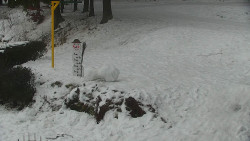 Běžecký lyžařský areál Nová Ves - horní část