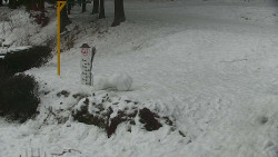 Běžecký lyžařský areál Nová Ves - horní část