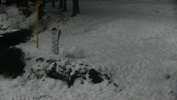 Běžecký lyžařský areál Nová Ves - horní část