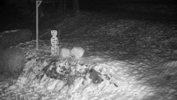 Běžecký lyžařský areál Nová Ves - horní část