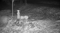 Běžecký lyžařský areál Nová Ves - horní část