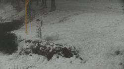 Běžecký lyžařský areál Nová Ves - horní část