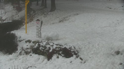 Běžecký lyžařský areál Nová Ves - horní část