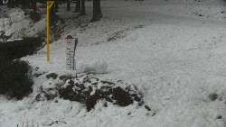 Běžecký lyžařský areál Nová Ves - horní část