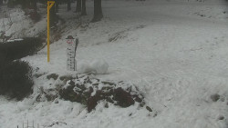 Běžecký lyžařský areál Nová Ves - horní část