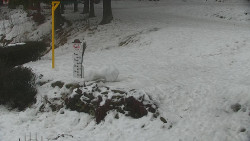 Běžecký lyžařský areál Nová Ves - horní část