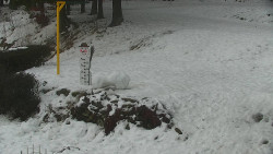 Běžecký lyžařský areál Nová Ves - horní část