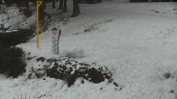 Běžecký lyžařský areál Nová Ves - horní část