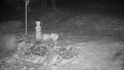 Běžecký lyžařský areál Nová Ves - horní část