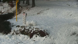 Běžecký lyžařský areál Nová Ves - horní část