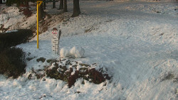 Běžecký lyžařský areál Nová Ves - horní část