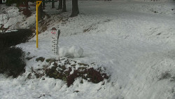 Běžecký lyžařský areál Nová Ves - horní část