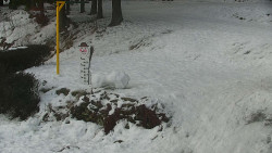 Běžecký lyžařský areál Nová Ves - horní část