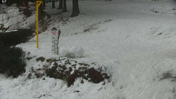 Běžecký lyžařský areál Nová Ves - horní část