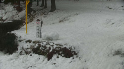 Běžecký lyžařský areál Nová Ves - horní část