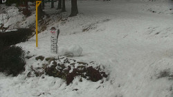 Běžecký lyžařský areál Nová Ves - horní část