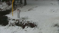 Běžecký lyžařský areál Nová Ves - horní část