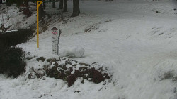 Běžecký lyžařský areál Nová Ves - horní část